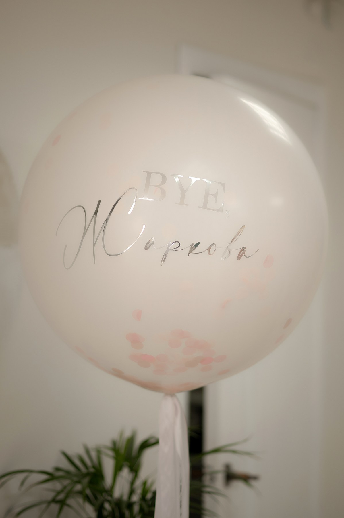 Девичник на мк. Фотограф Алексин, Тула