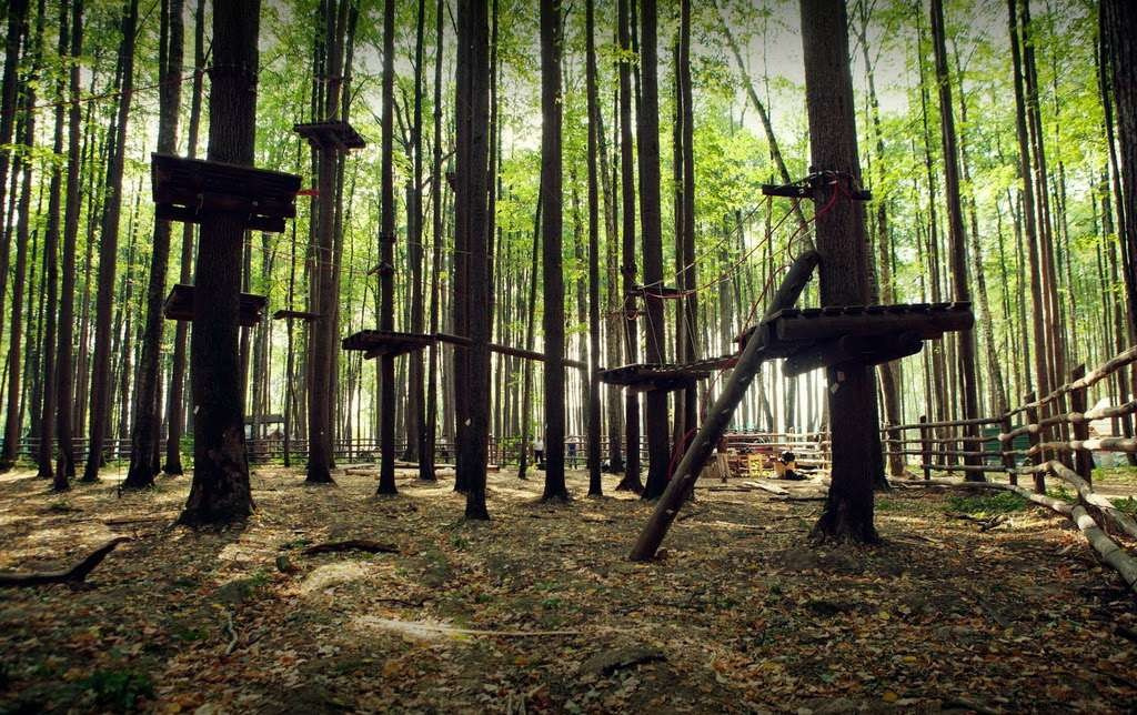 Фотосъёмка в московском парке — скамейки, фонтаны и тихие уголки природы