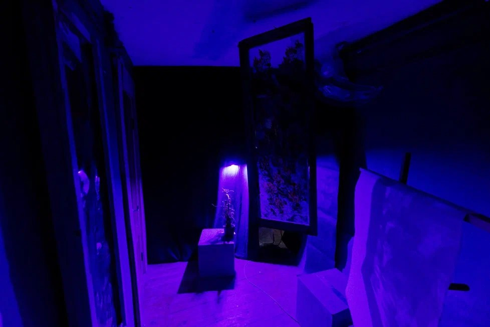 Пороги. Елизавета Иванова — независимый куратор, культуролог, исследователь художественных практик, художник