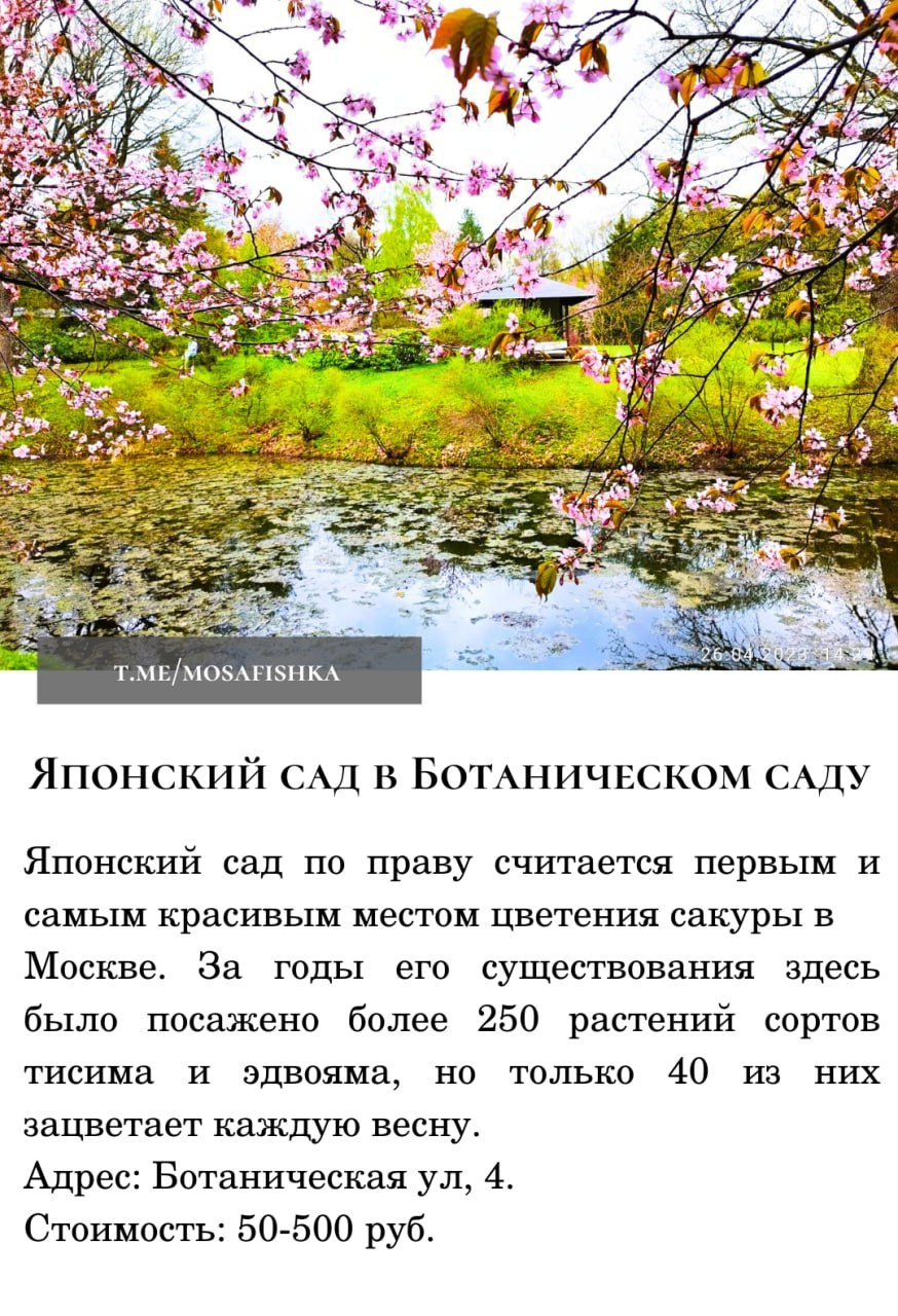 Локации для фотосессии в Москве