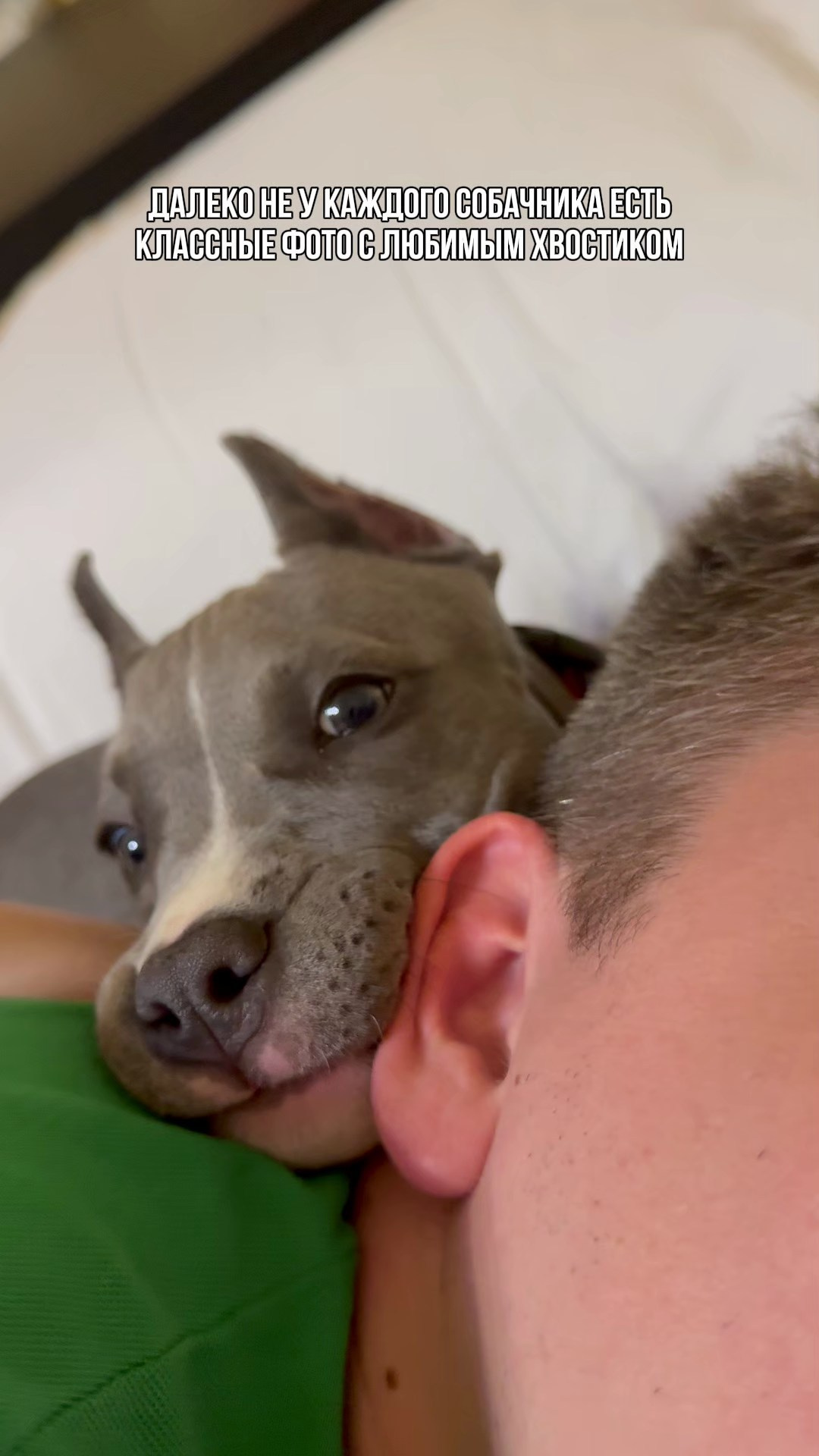 Сильвия и Терра. Александр Атлес Фотограф