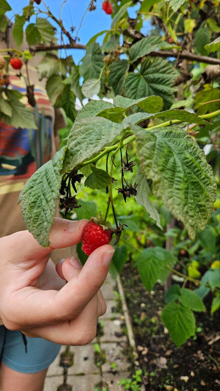 Занятия по рисованию. Изостудия «Мы рисуем!» ♥ Южное Бутово, Москва