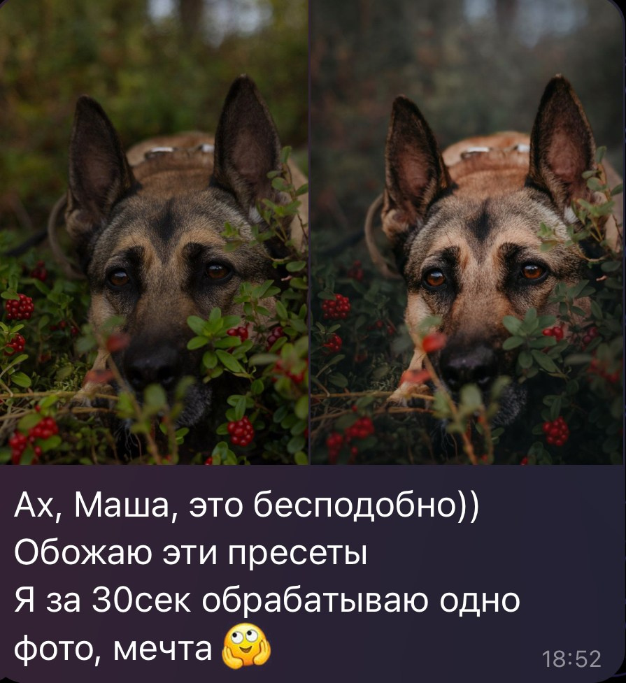 Отзывы. Фотограф анималист Осипчикова Мария