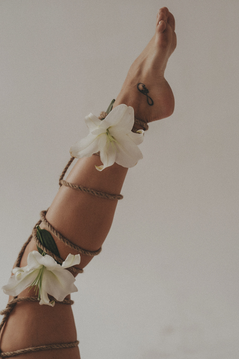 Александра Лилии. Главная