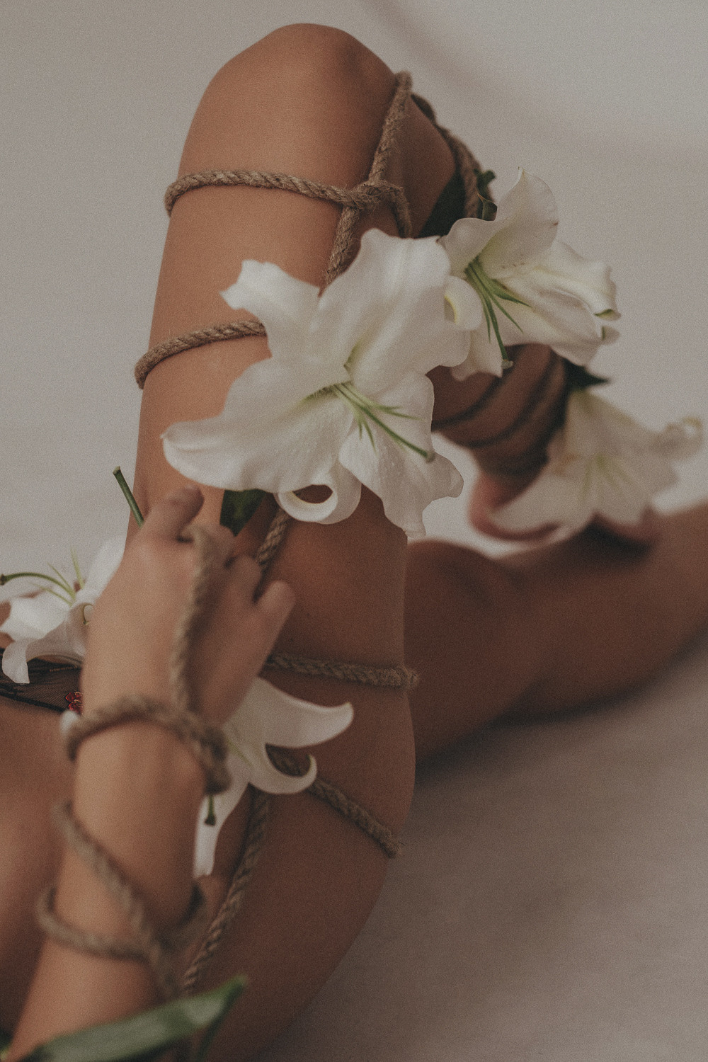 Александра Лилии. Главная