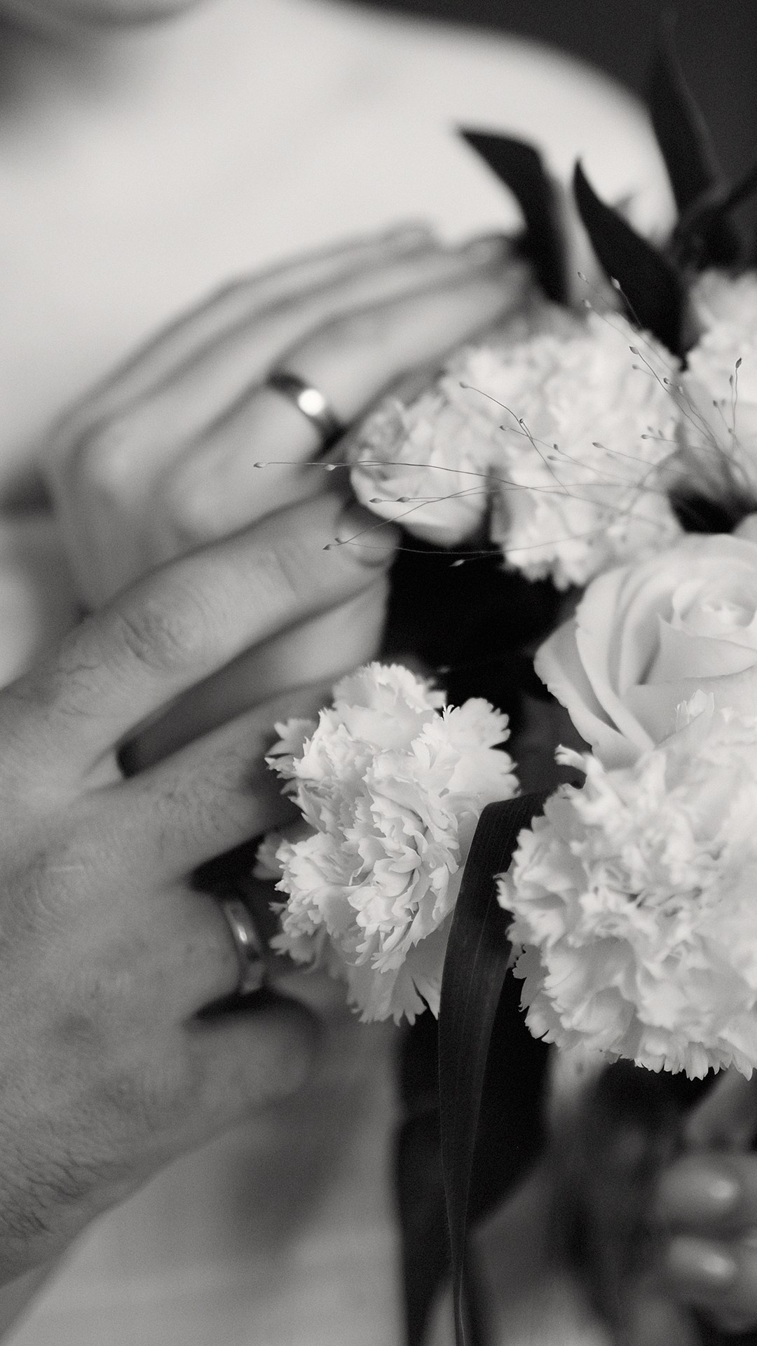 Sofia & Dmitriy. Свадебный и семейный фотограф Ксения Тараканова г. Иваново