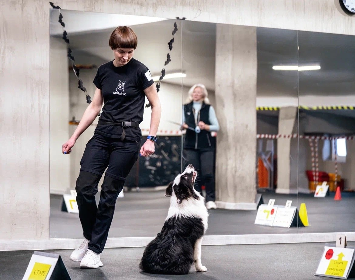 Карныш. BLGKV питомник собак