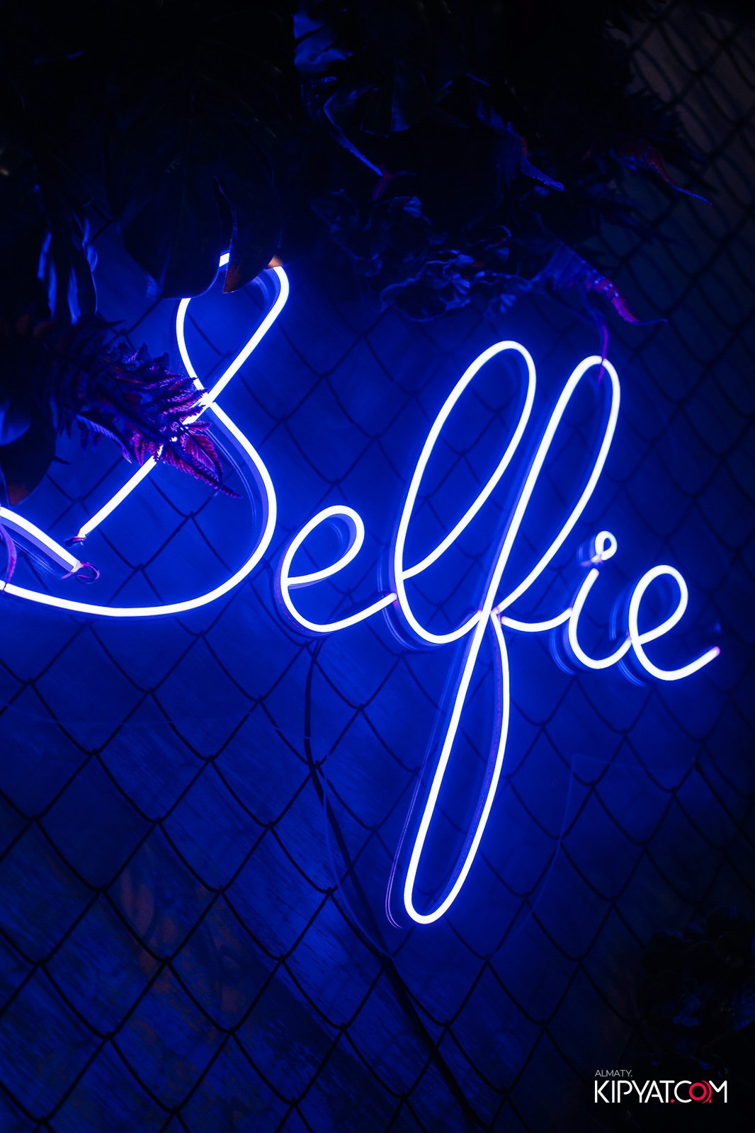 ДОРОГАЯ, Я НЕ ПИЛ. КИПЯТКОМ АЛМАТЫ! Фотосъемка мероприятий в Алматы