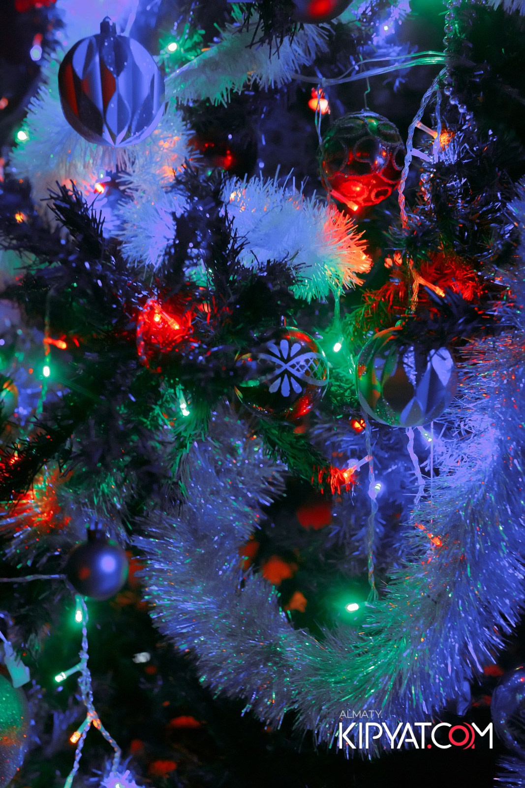 ARAGOSTA. КИПЯТКОМ АЛМАТЫ! Фотосъемка мероприятий в Алматы