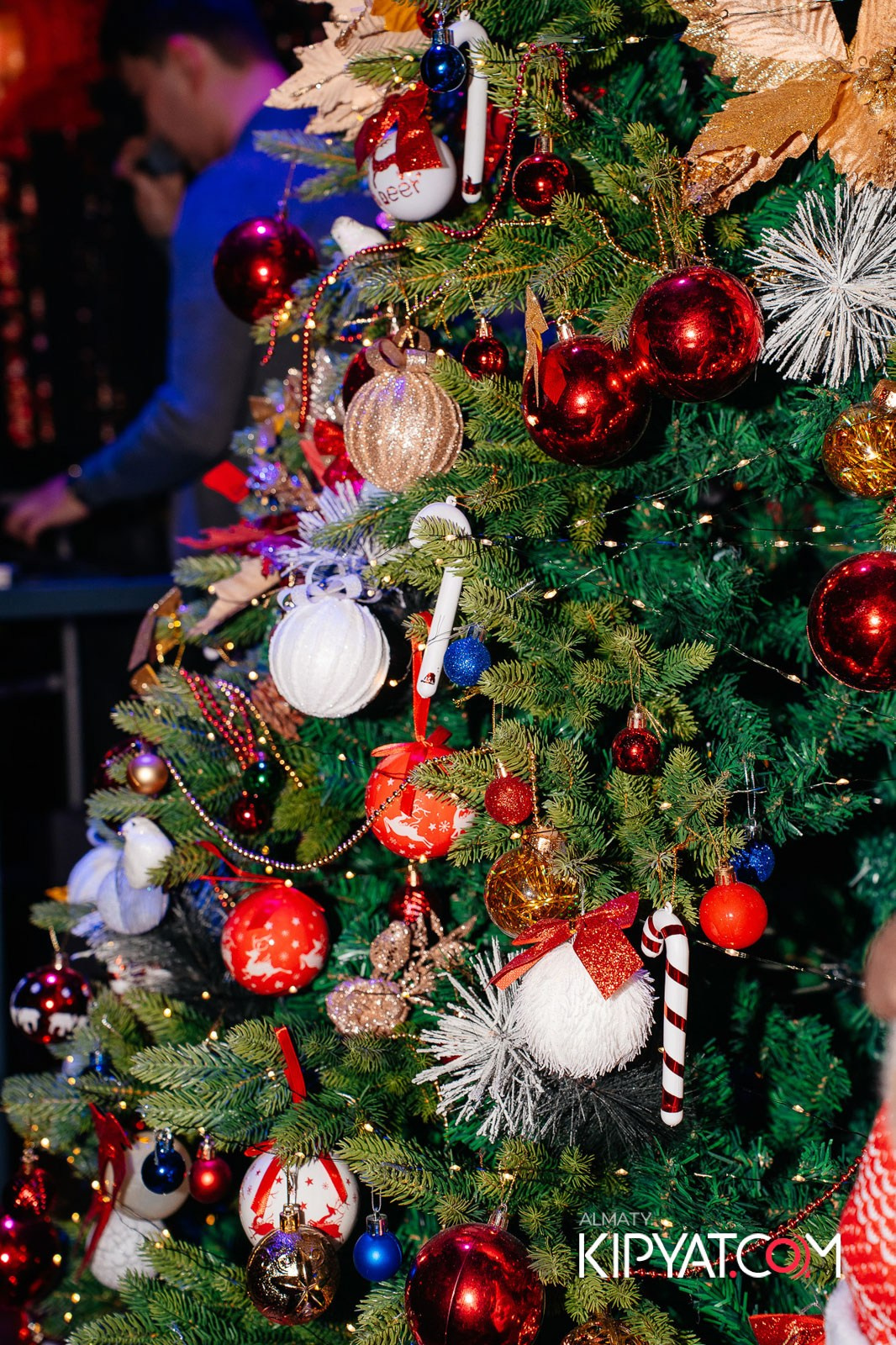 БАР ПАНАЕХАЛИ НА ТОЛЕ БИ. КИПЯТКОМ АЛМАТЫ!