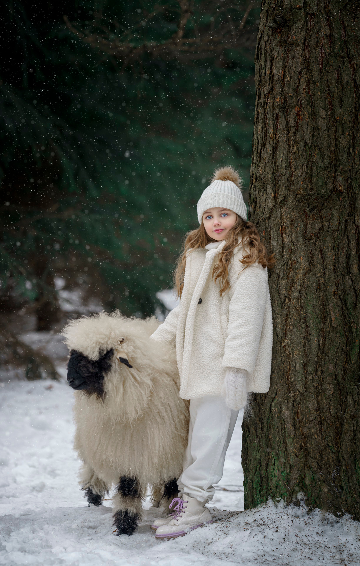 Овца и Ламы. Фотограф Сергей Танков