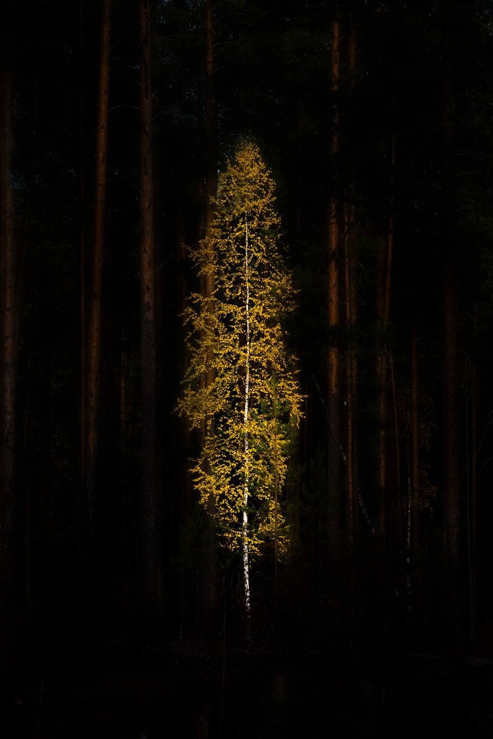 Пейзаж. Фотограф Александр Чазов