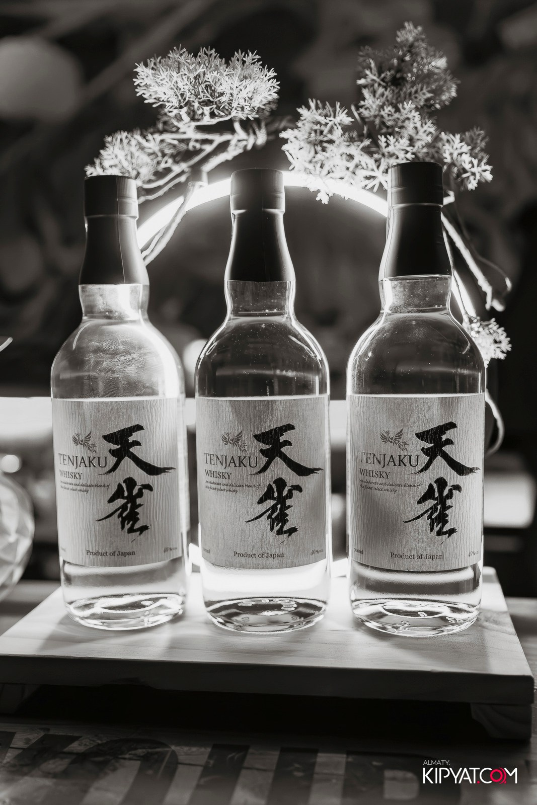 TENJAKU PROMO 2025 «HALLOWEEN PARTY» BHB. КИПЯТКОМ АЛМАТЫ!