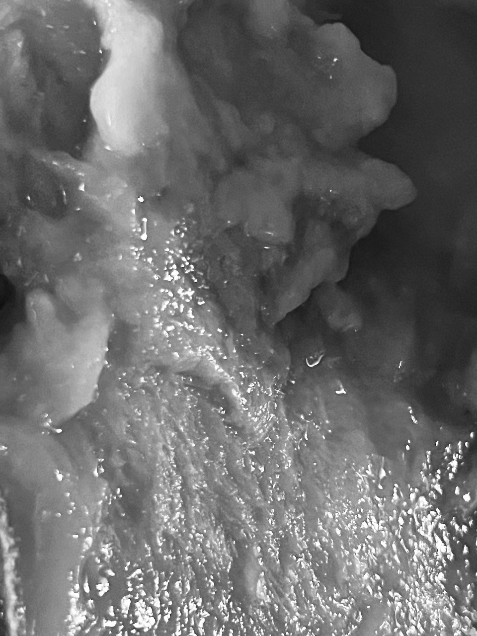 Mindful eating / Осознанное питание. Художник Катерина Копейкина / Artist Katerina Kopeikina