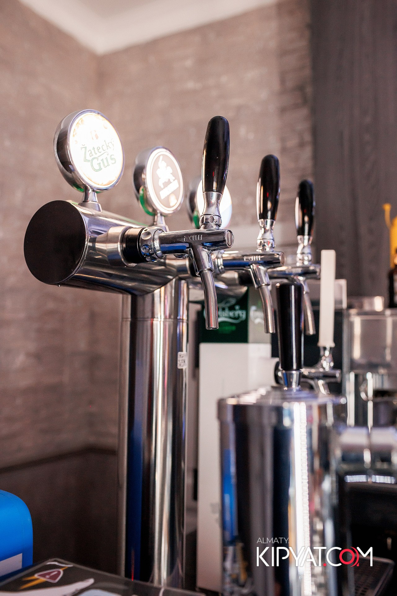 УХО И МЕДВЕДЬ НА ГАГАРИНА. КИПЯТКОМ АЛМАТЫ!