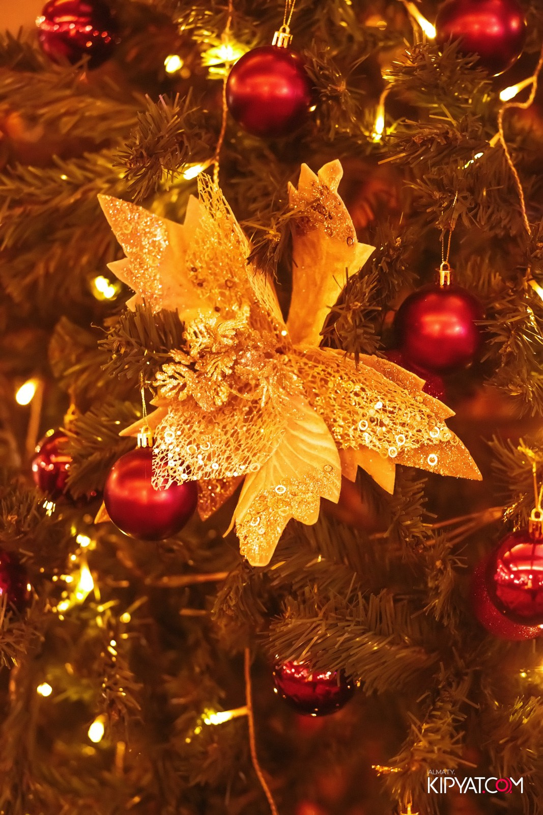 ГРУЗИНСКИЙ ДВОР. КИПЯТКОМ АЛМАТЫ!