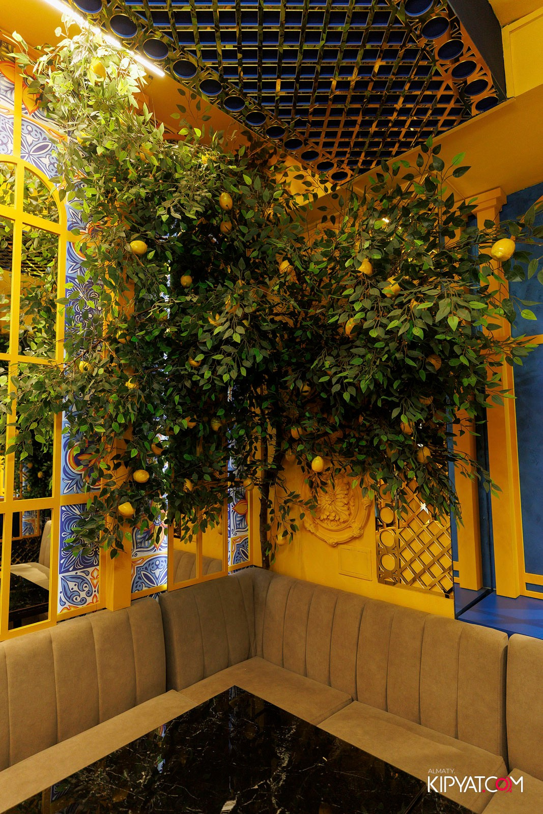 УХО И МЕДВЕДЬ НА КУРМАНАГАЗЫ. КИПЯТКОМ АЛМАТЫ! Фотосъемка мероприятий в Алматы