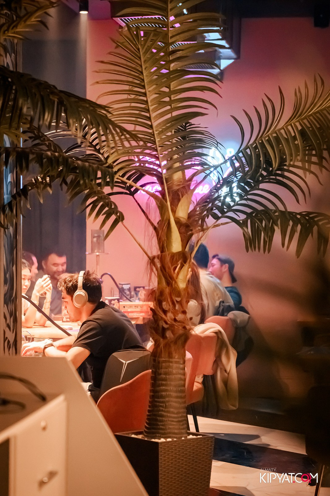 VICE CITY. КИПЯТКОМ АЛМАТЫ! Фотосъемка мероприятий в Алматы