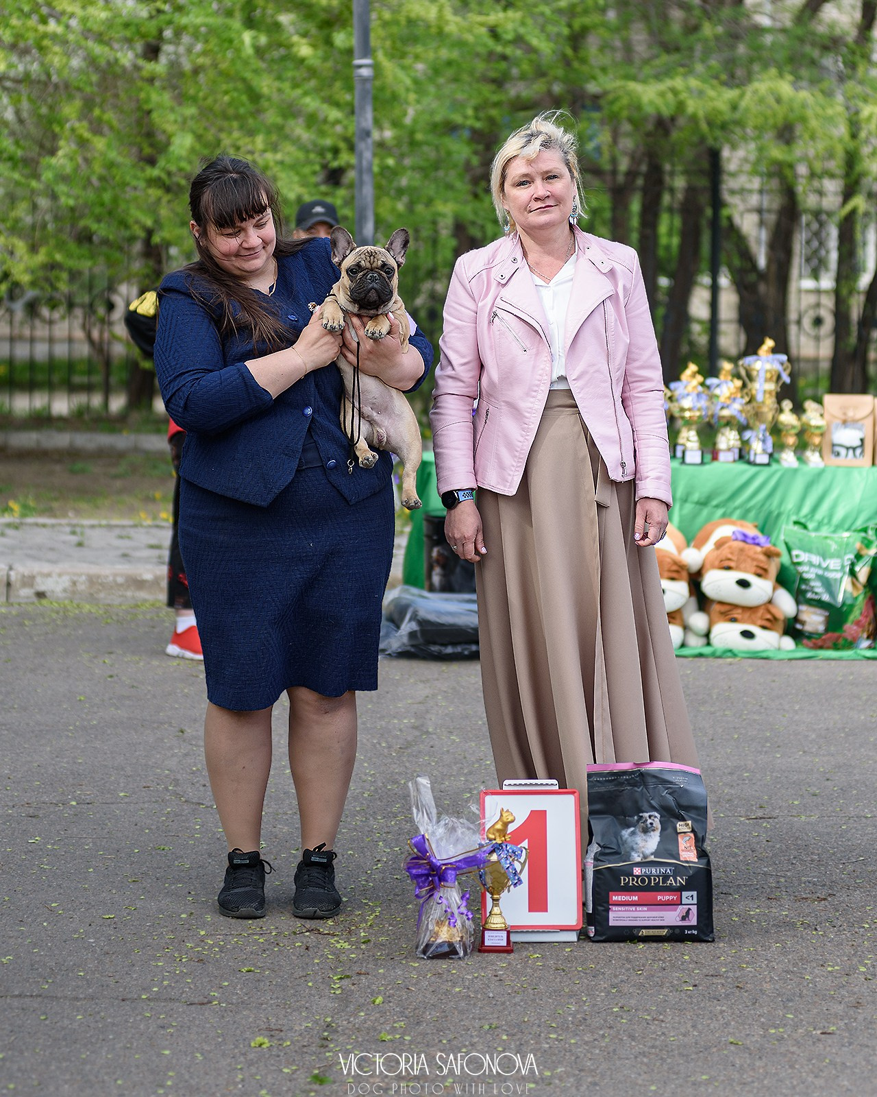 18–19 мая 2024 Благовещенск. Фотограф анималист Благовещенск. Сафонова Виктория