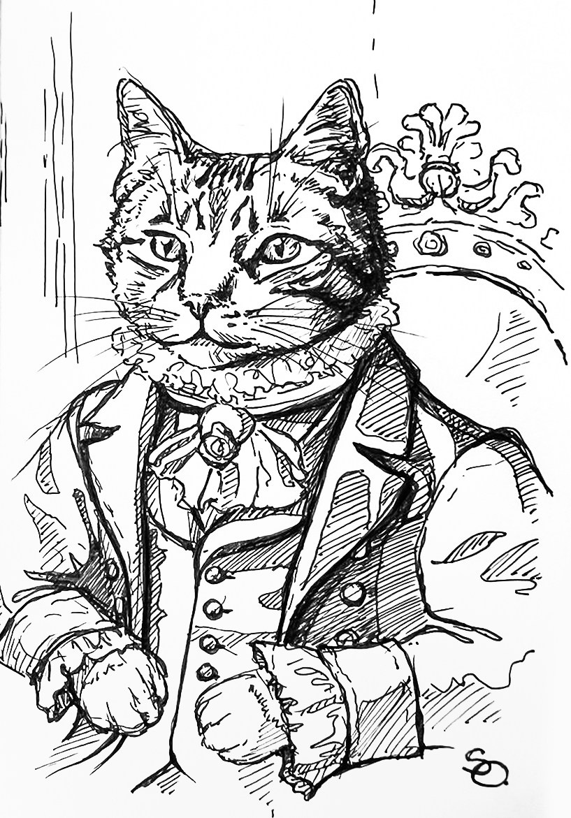 Иллюстрация. Фотограф Ольга Сальманович