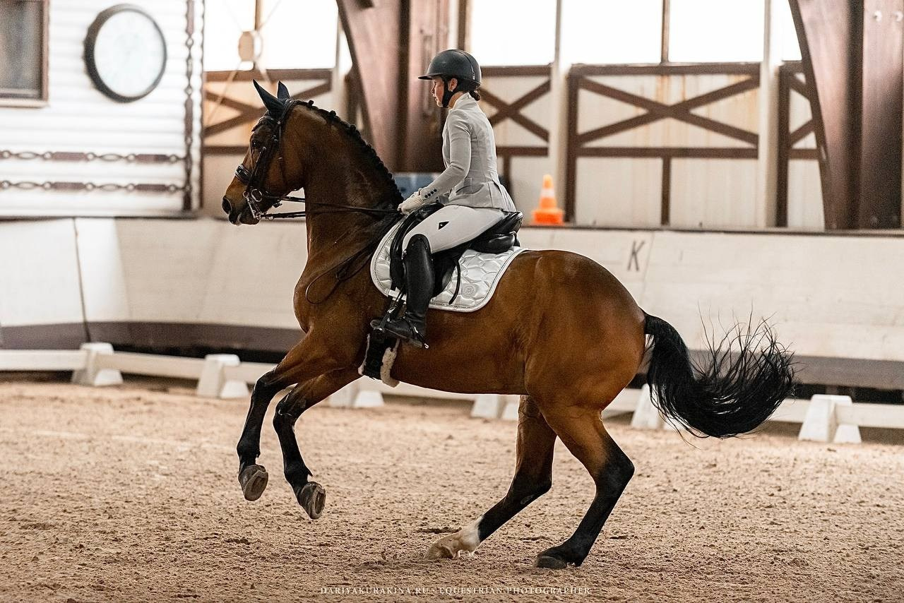 Муниципальные соревнования по выездке «Весенний Кубок КСК «Белая дача». Конный фотограф Куракина Дарья • Фотосессии с лошадьми