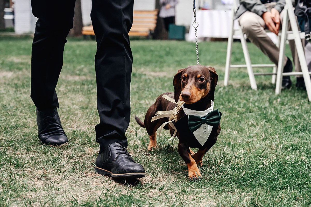 Андрей & Лена. Свадебный и семейный фотограф в Новосибирске — Алексей Гаврилов