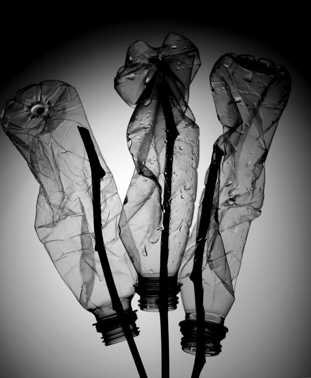 Предметы. Фотограф в Москве Юлия Майорова