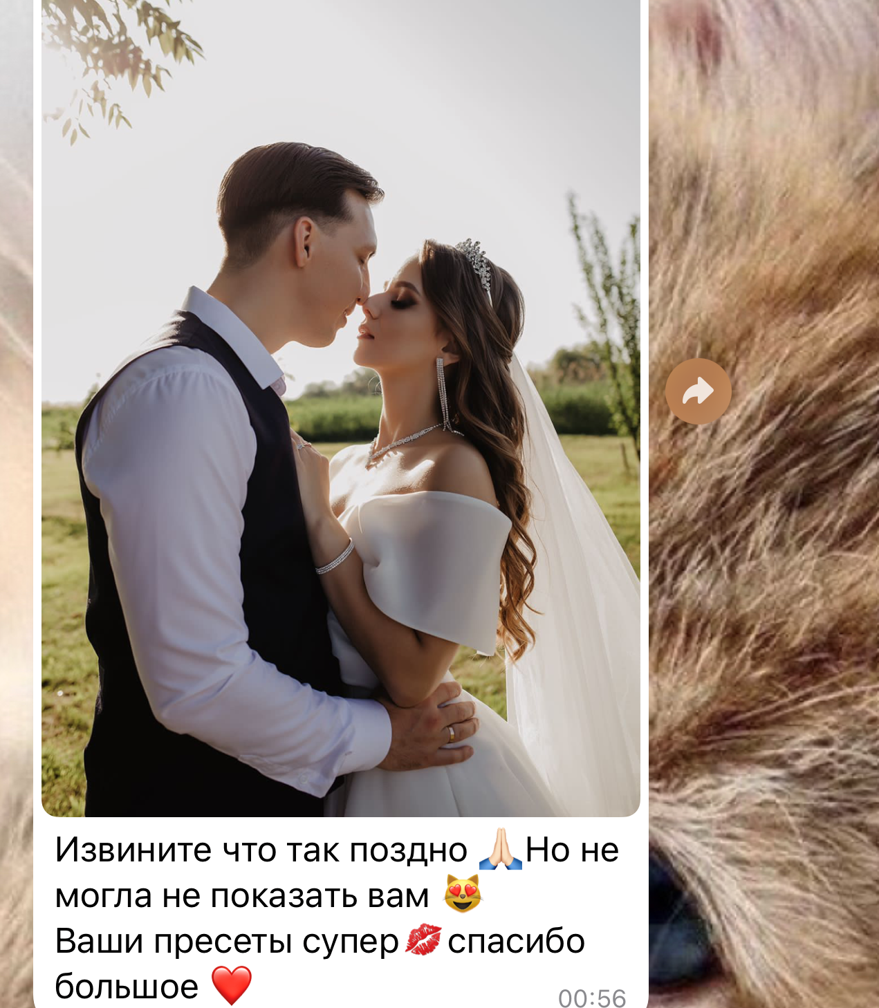 Кейсы и отзывы. Свадебный фотограф Светлана Кот | Москва