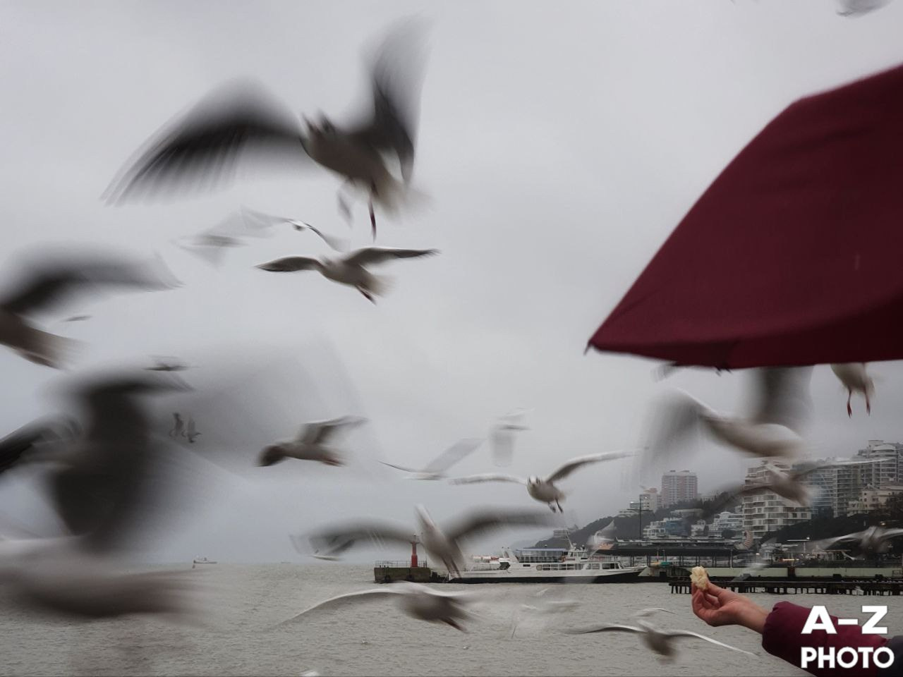 #ФОТОНЕДЕЛИ 26.01.2026. Женский семейный фотограф Тула Москва Захарова Анна