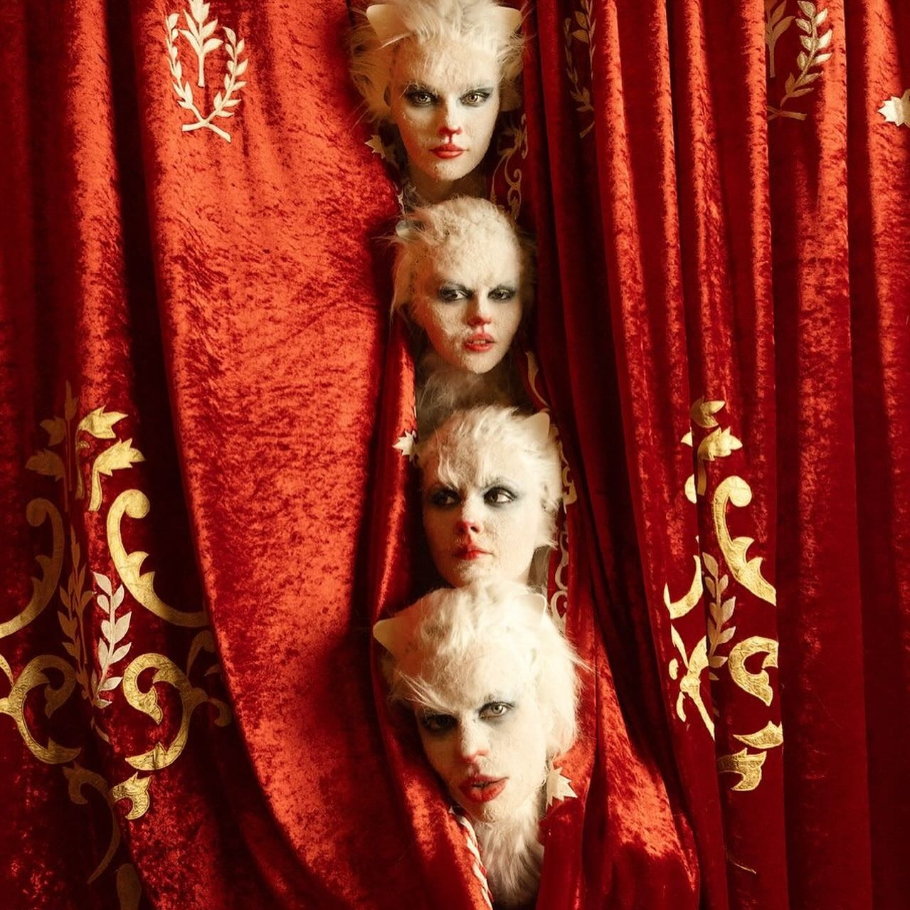 Кошки. Главная