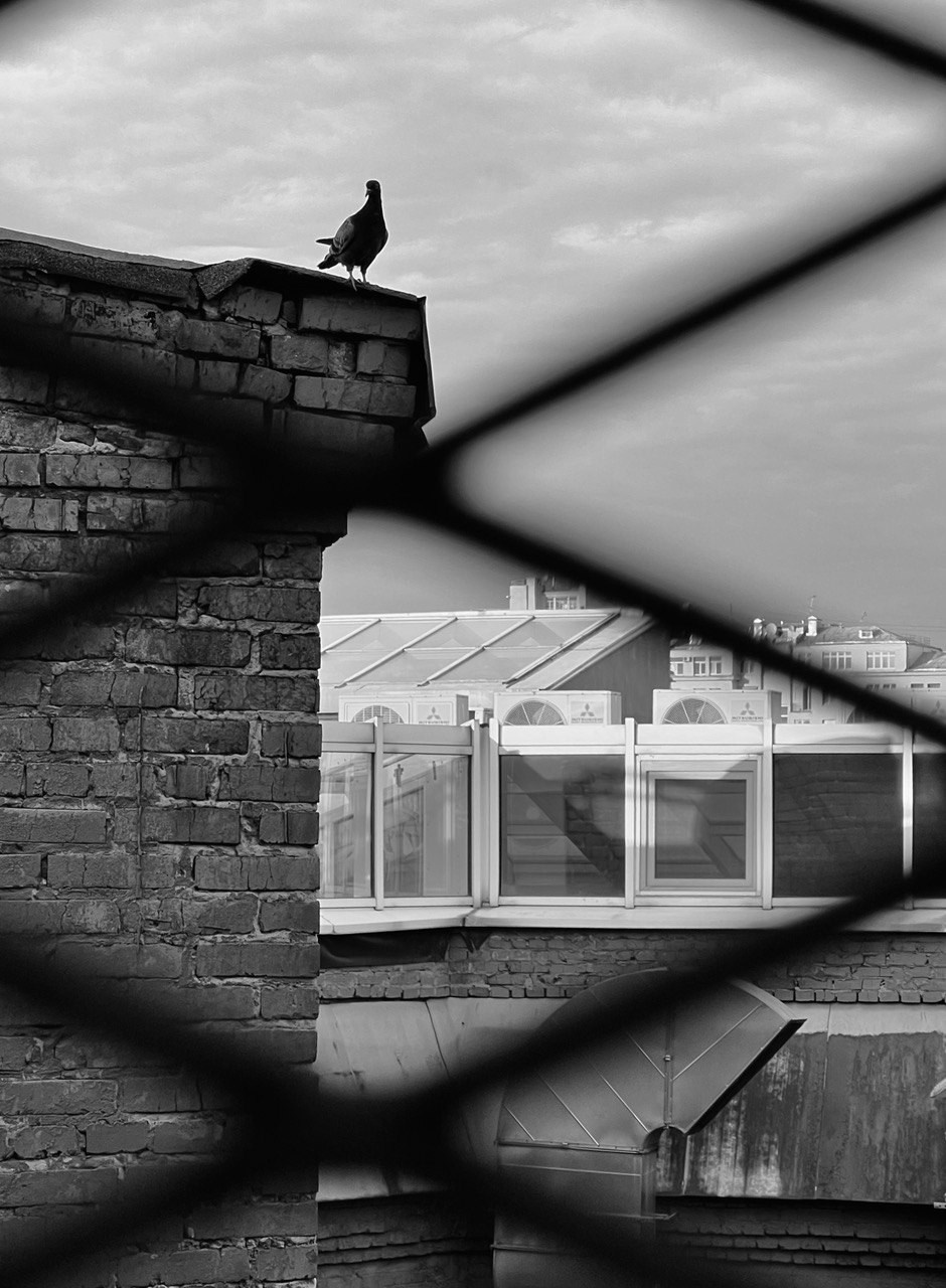 2023. Марфин. Фотограф