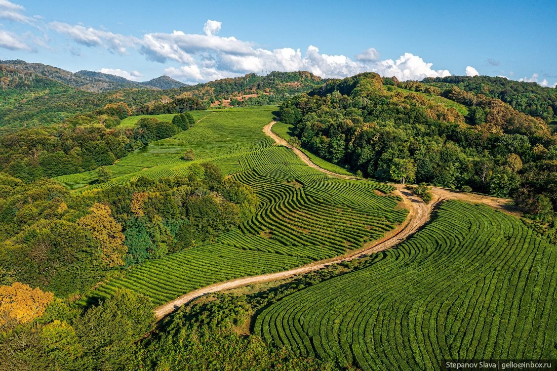 КРАСИВЫЕ МЕСТА В СОЧИ. Свадебный и семейный фотограф/видеограф в Краснодаре Наталья Осинская