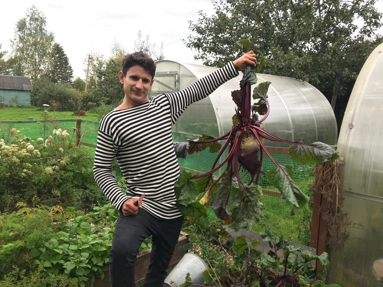 Территория экофермы Марии Гиппенрейтер. Эко отель Подмосковье. Эко отдых в Подмосковье в эко-отеле Марии Гиппенрейтер