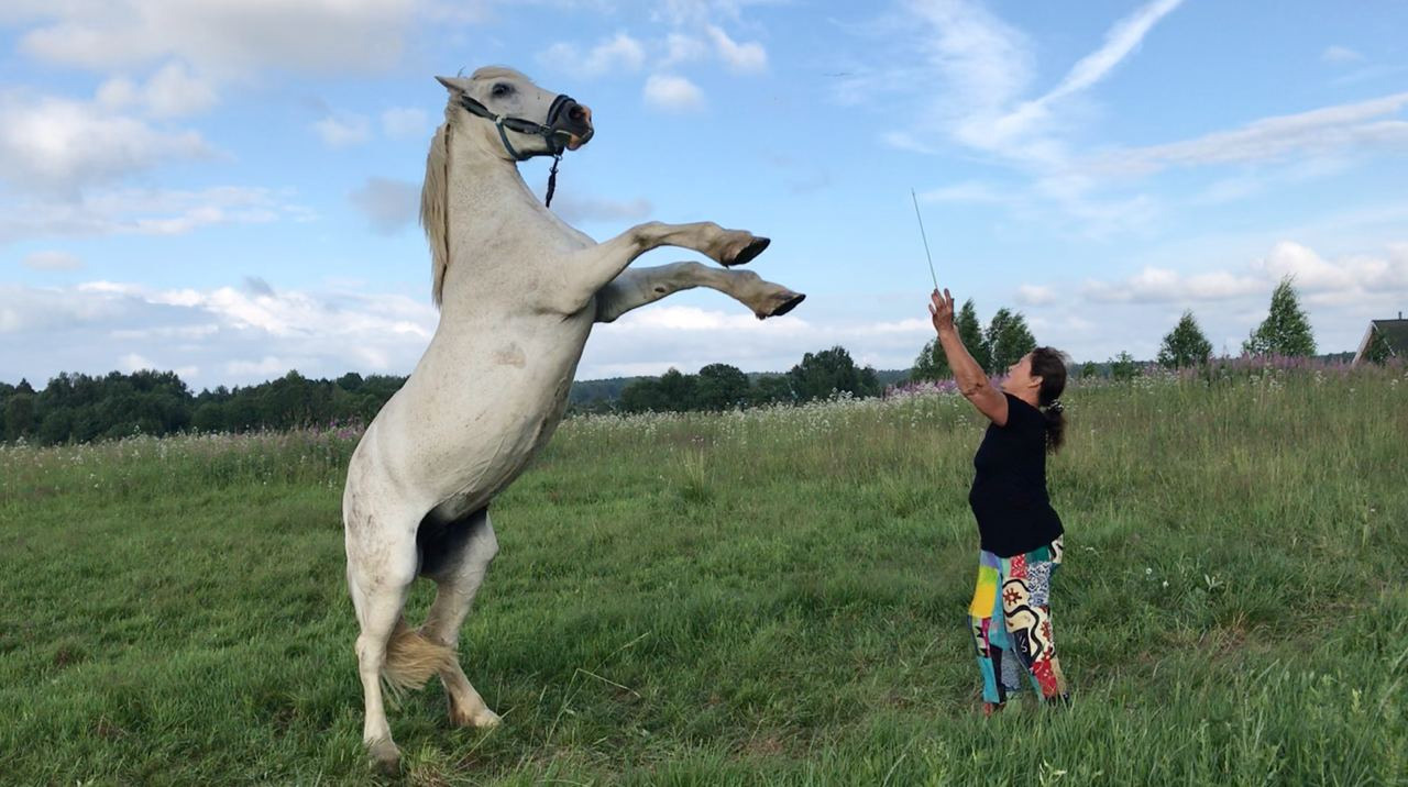 Команда экофермы Марии Гиппенрейтер. Эко отдых в Подмосковье в эко-отеле Марии Гиппенрейтер