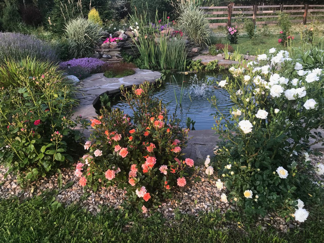 Территория экофермы Марии Гиппенрейтер. Эко отель Подмосковье. Эко отдых в Подмосковье в эко-отеле Марии Гиппенрейтер