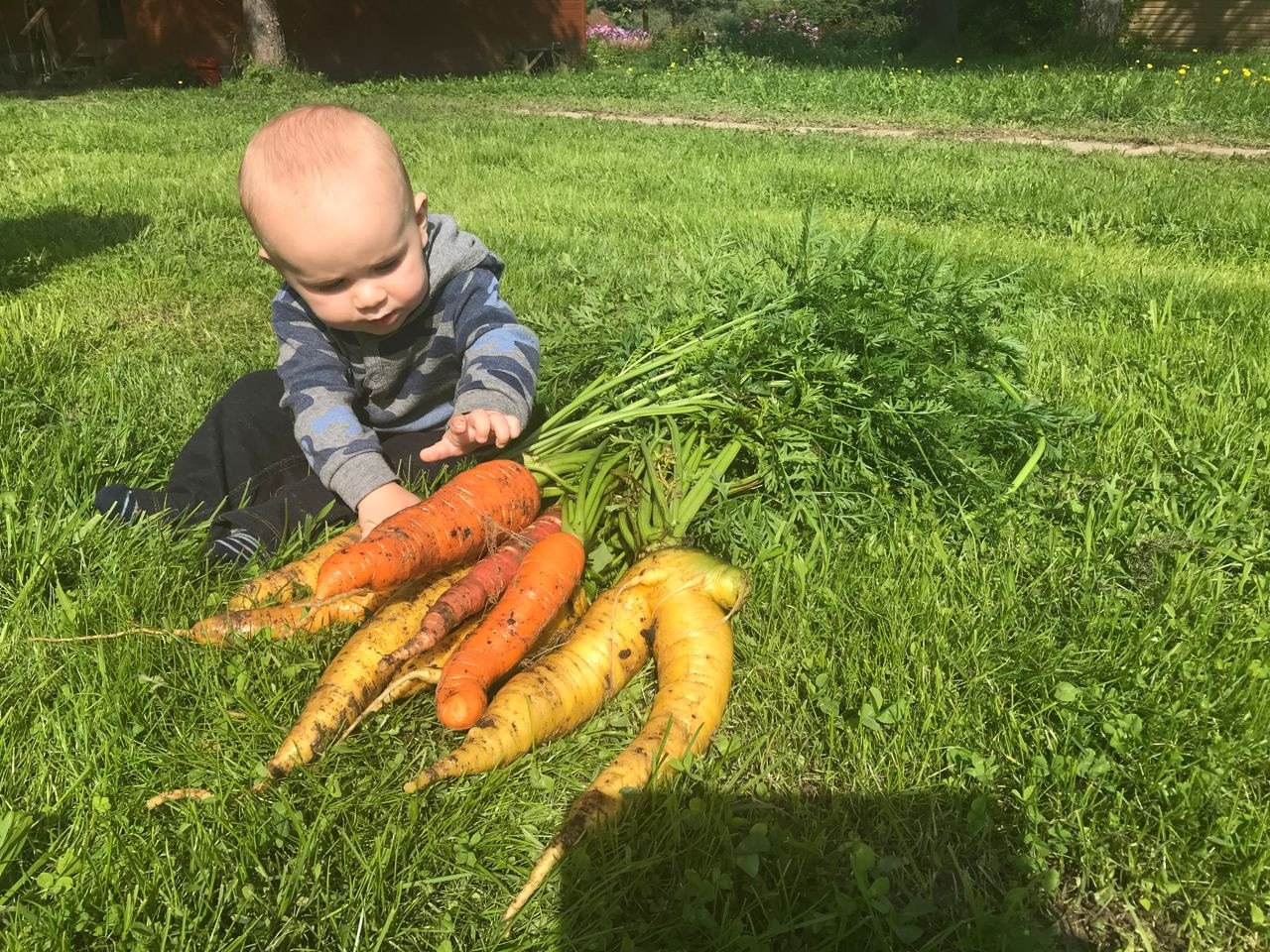Территория экофермы Марии Гиппенрейтер. Эко отель Подмосковье. Эко отдых в Подмосковье в эко-отеле Марии Гиппенрейтер