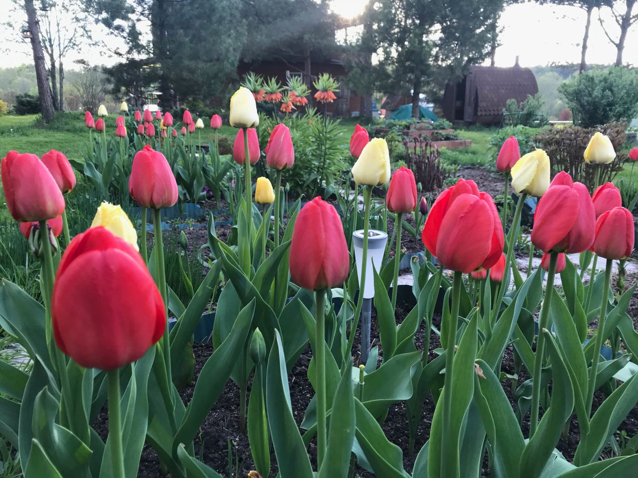 Территория экофермы Марии Гиппенрейтер. Эко отель Подмосковье. Эко отдых в Подмосковье в эко-отеле Марии Гиппенрейтер