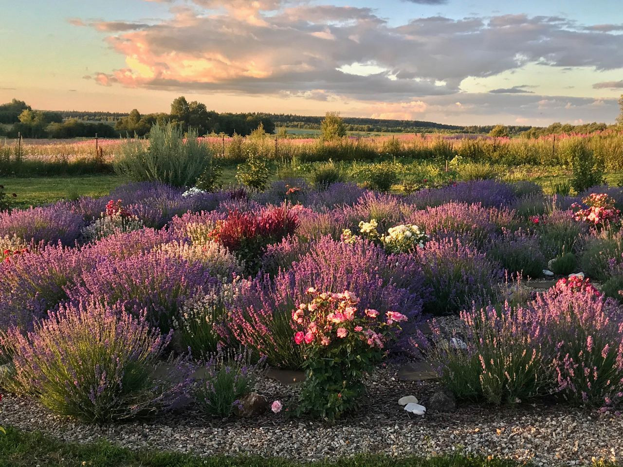 Территория экофермы Марии Гиппенрейтер. Эко отель Подмосковье. Эко отдых в Подмосковье в эко-отеле Марии Гиппенрейтер