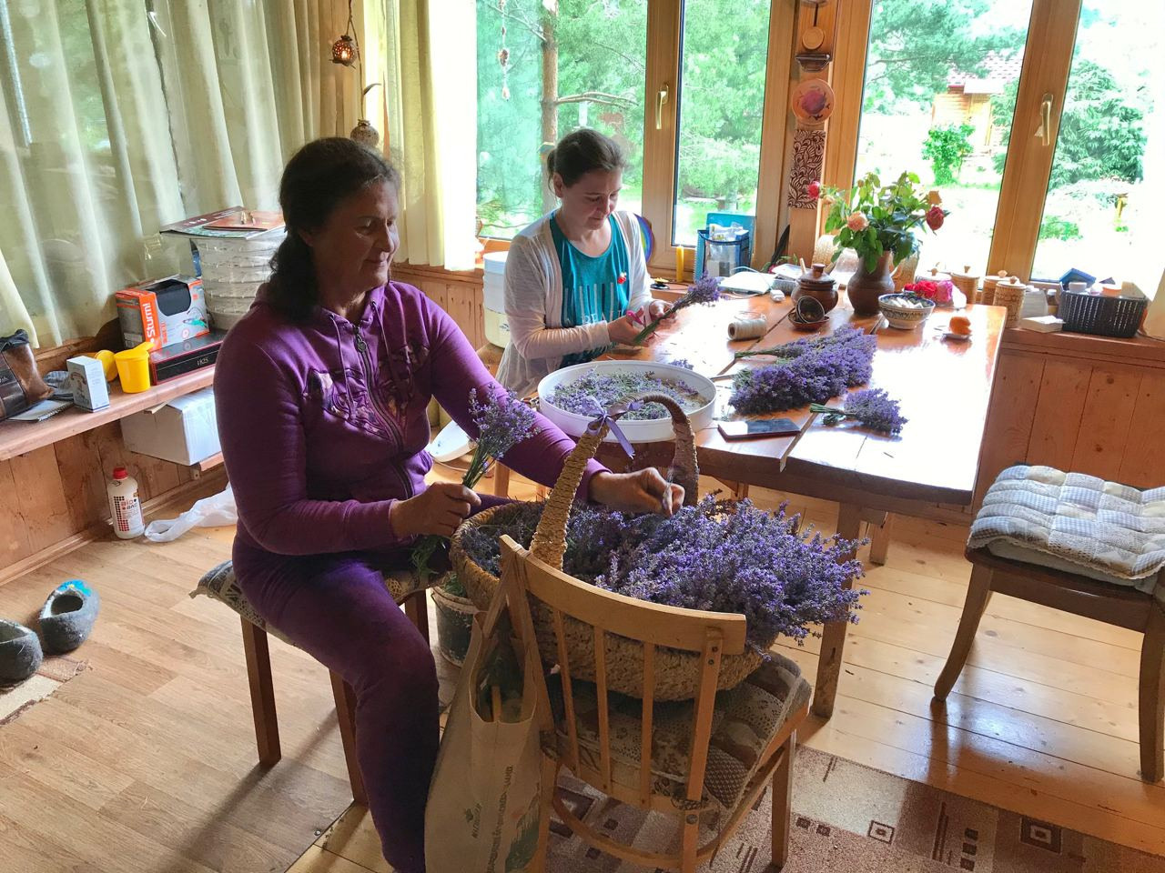 Территория экофермы Марии Гиппенрейтер. Эко отель Подмосковье. Эко отдых в Подмосковье в эко-отеле Марии Гиппенрейтер