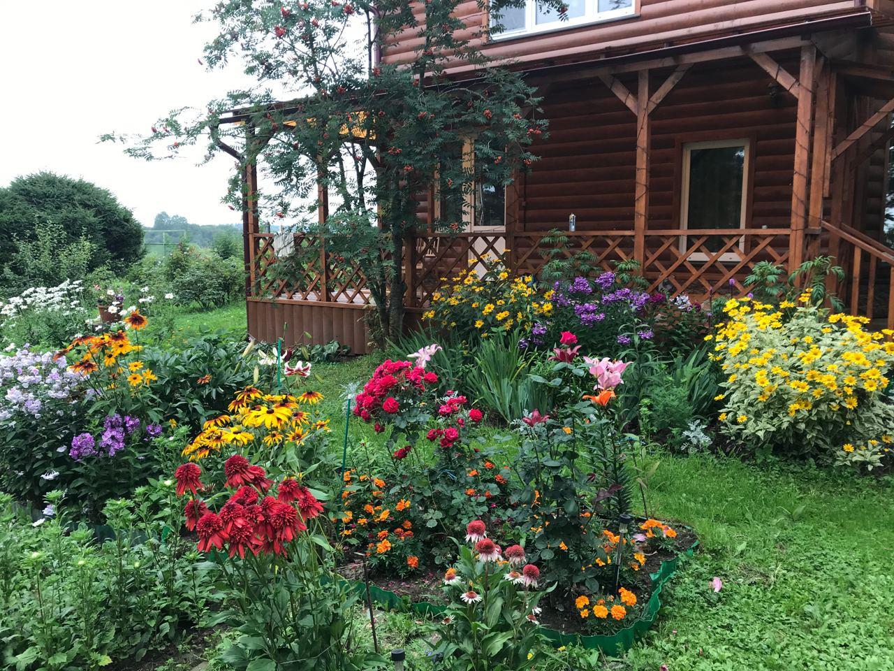 Территория экофермы Марии Гиппенрейтер. Эко отель Подмосковье. Эко отдых в Подмосковье в эко-отеле Марии Гиппенрейтер