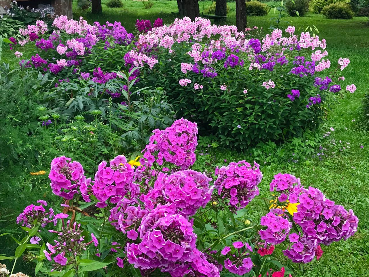 Территория экофермы Марии Гиппенрейтер. Эко отель Подмосковье. Эко отдых в Подмосковье в эко-отеле Марии Гиппенрейтер