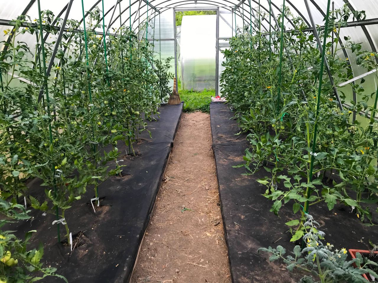 Территория экофермы Марии Гиппенрейтер. Эко отель Подмосковье. Эко отдых в Подмосковье в эко-отеле Марии Гиппенрейтер