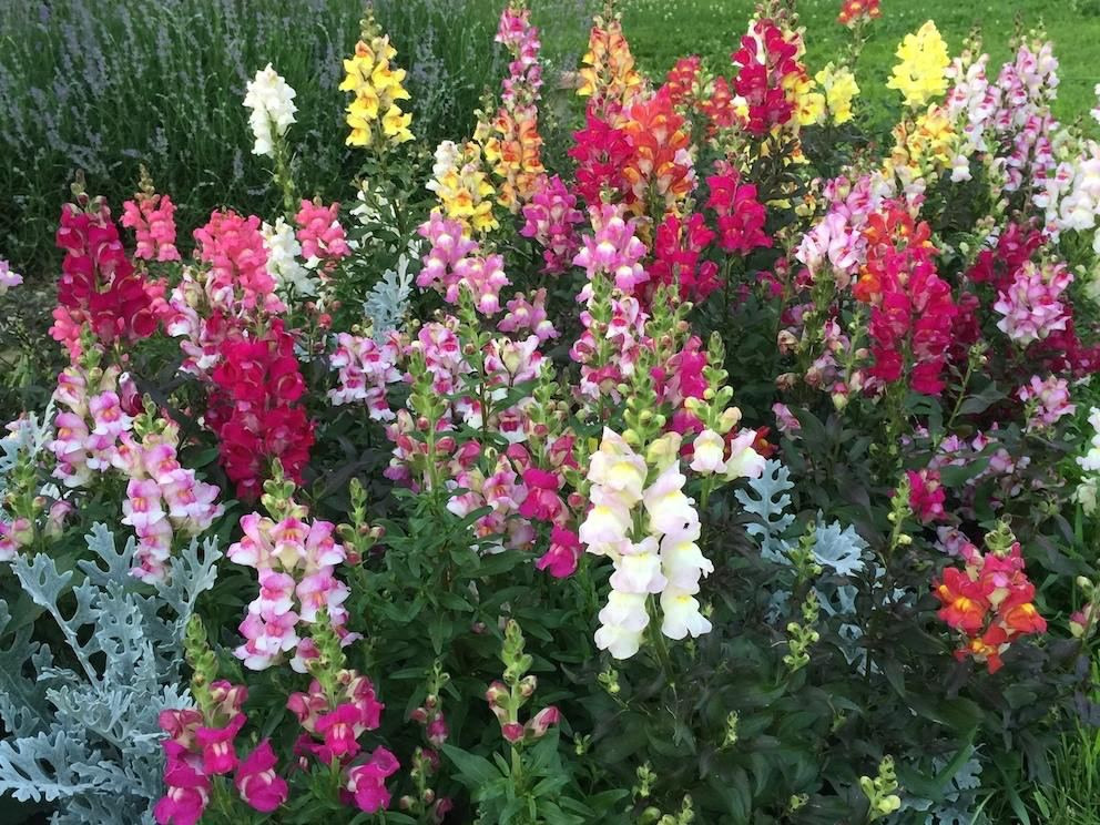 Территория экофермы Марии Гиппенрейтер. Эко отель Подмосковье. Эко отдых в Подмосковье в эко-отеле Марии Гиппенрейтер