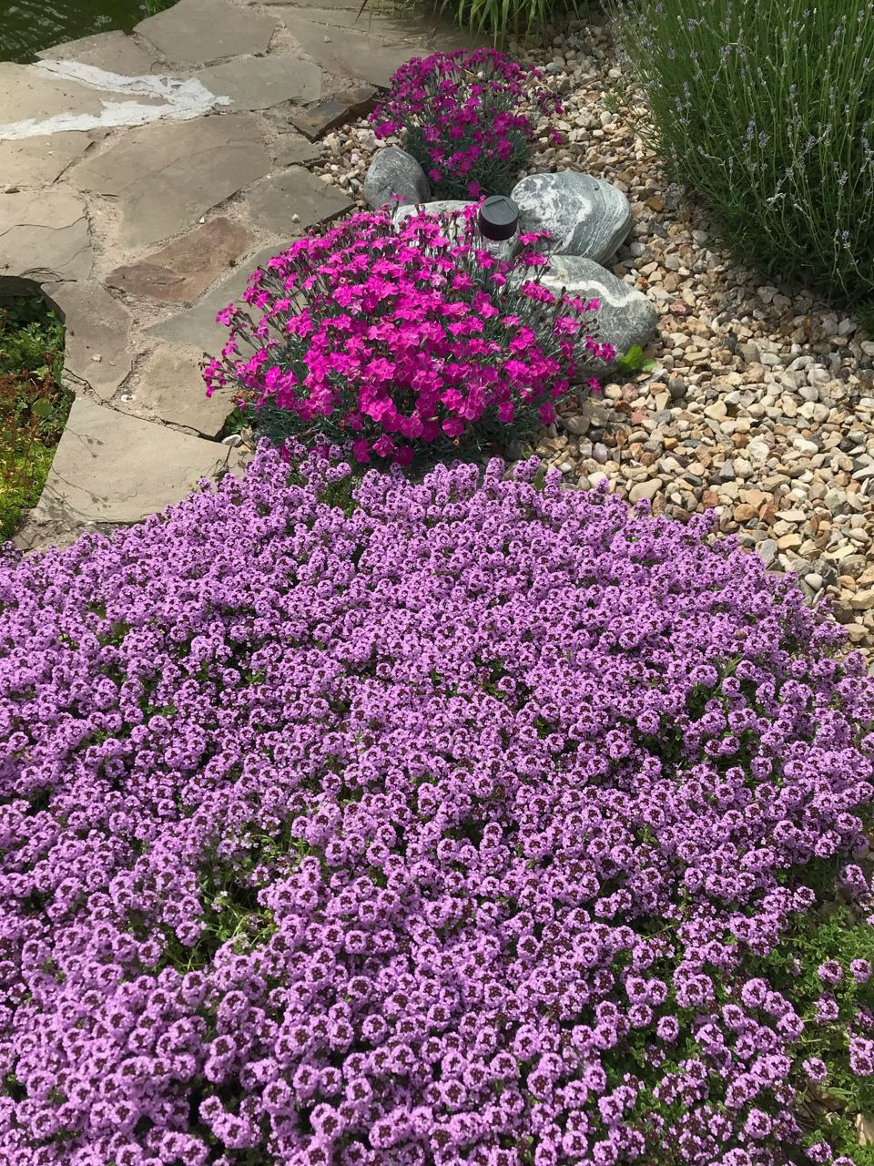 Территория экофермы Марии Гиппенрейтер. Эко отель Подмосковье. Эко отдых в Подмосковье в эко-отеле Марии Гиппенрейтер