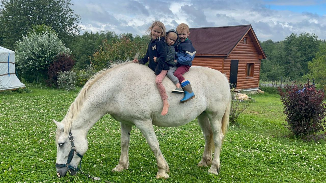 Команда экофермы Марии Гиппенрейтер. Эко отдых в Подмосковье в эко-отеле Марии Гиппенрейтер