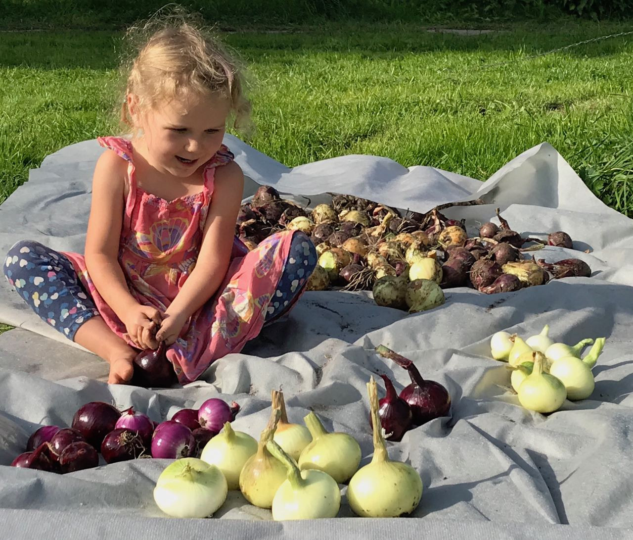 Территория экофермы Марии Гиппенрейтер. Эко отель Подмосковье. Эко отдых в Подмосковье в эко-отеле Марии Гиппенрейтер