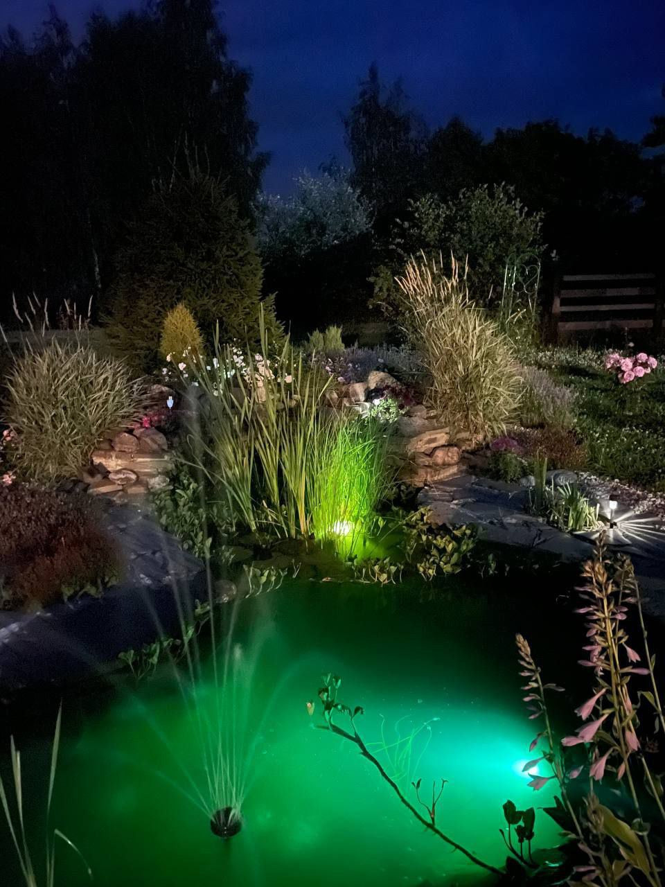 Территория экофермы Марии Гиппенрейтер. Эко отель Подмосковье. Эко отдых в Подмосковье в эко-отеле Марии Гиппенрейтер