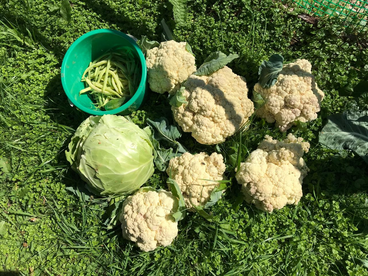 Территория экофермы Марии Гиппенрейтер. Эко отель Подмосковье. Эко отдых в Подмосковье в эко-отеле Марии Гиппенрейтер