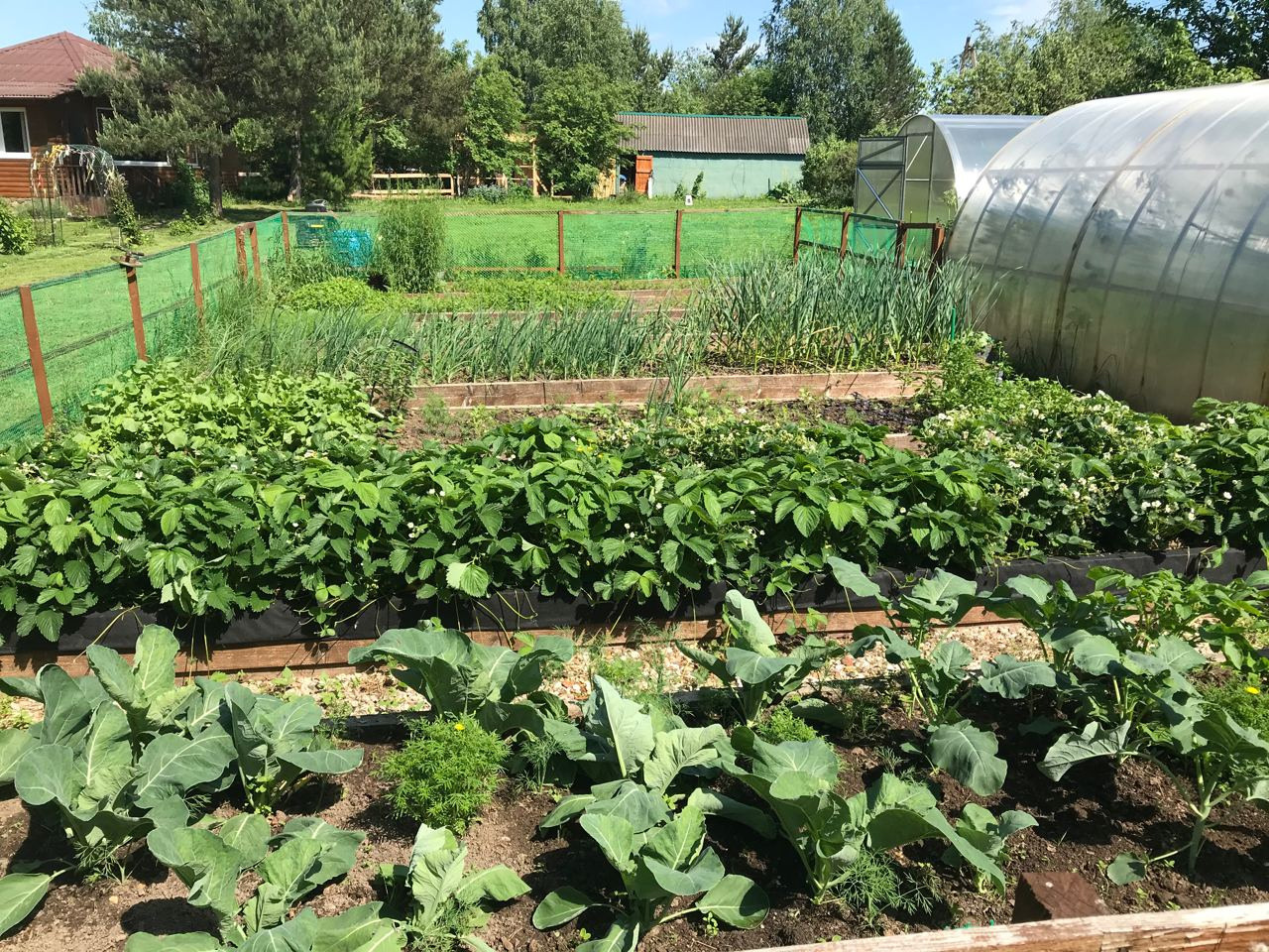 Территория экофермы Марии Гиппенрейтер. Эко отель Подмосковье. Эко отдых в Подмосковье в эко-отеле Марии Гиппенрейтер