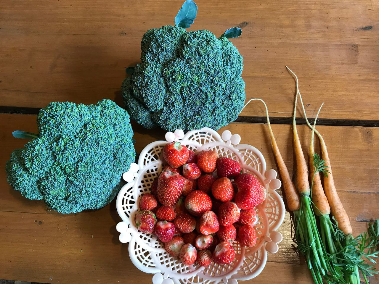 Территория экофермы Марии Гиппенрейтер. Эко отель Подмосковье. Эко отдых в Подмосковье в эко-отеле Марии Гиппенрейтер